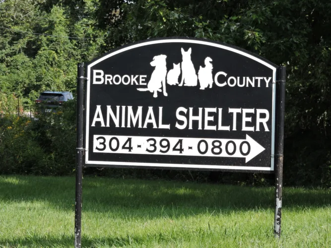 Brooke County developing foster program for animal shelter